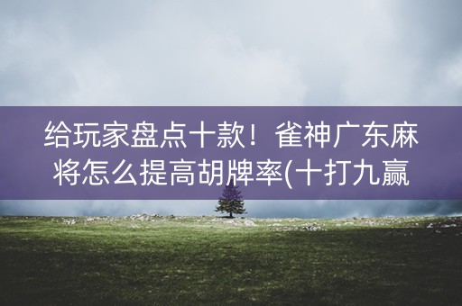 给玩家盘点十款！雀神广东麻将怎么提高胡牌率(十打九赢的打法)
