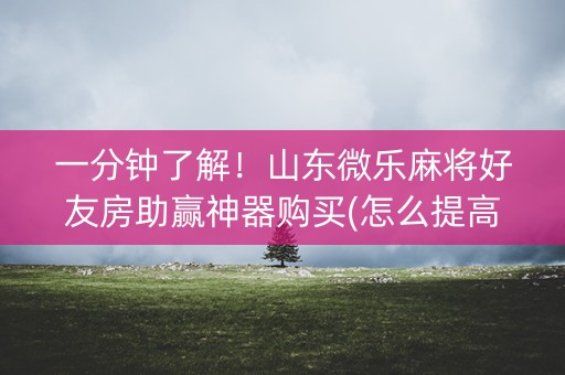 一分钟了解！山东微乐麻将好友房助赢神器购买(怎么提高胜率)