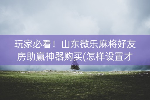 玩家必看！山东微乐麻将好友房助赢神器购买(怎样设置才容易赢)