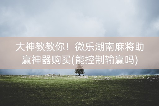 大神教教你！微乐湖南麻将助赢神器购买(能控制输赢吗)