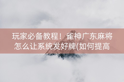 玩家必备教程！雀神广东麻将怎么让系统发好牌(如何提高胡牌率)