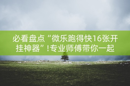 必看盘点“微乐跑得快16张开挂神器”!专业师傅带你一起了解（详细教程）-抖音