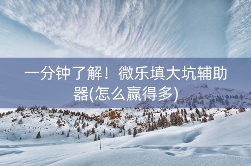一分钟了解！微乐填大坑辅助器(怎么赢得多)
