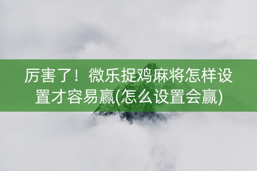 厉害了！微乐捉鸡麻将怎样设置才容易赢(怎么设置会赢)