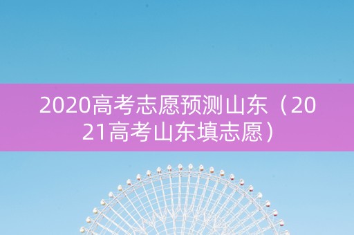 2020高考志愿预测山东（2021高考山东填志愿）