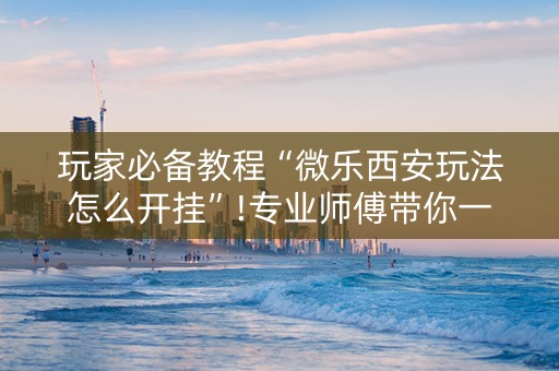 玩家必备教程“微乐西安玩法怎么开挂”!专业师傅带你一起了解（详细教程）-抖音
