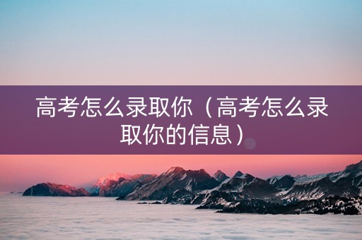 高考怎么录取你（高考怎么录取你的信息）