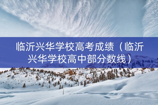 临沂兴华学校高考成绩（临沂兴华学校高中部分数线）