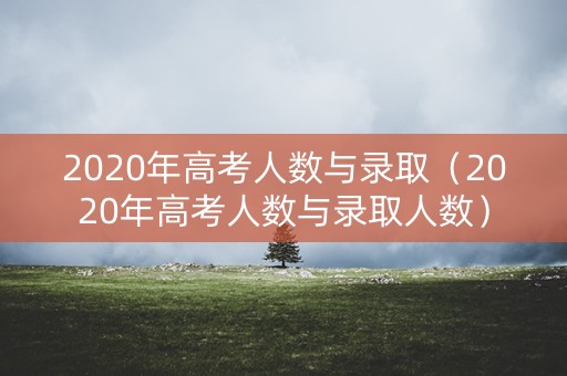 2020年高考人数与录取（2020年高考人数与录取人数）