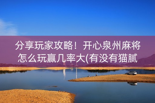 分享玩家攻略！开心泉州麻将怎么玩赢几率大(有没有猫腻)