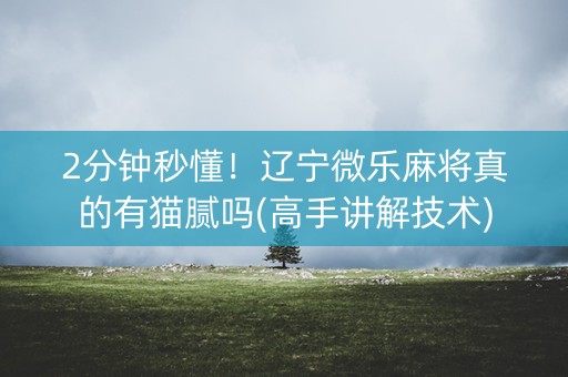 2分钟秒懂！辽宁微乐麻将真的有猫腻吗(高手讲解技术)
