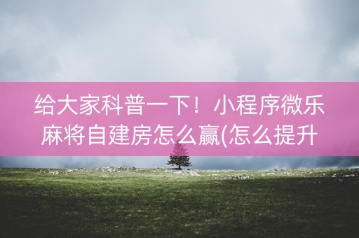 给大家科普一下！小程序微乐麻将自建房怎么赢(怎么提升胜率)