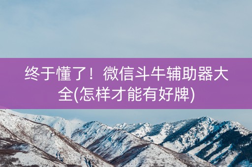 终于懂了！微信斗牛辅助器大全(怎样才能有好牌)