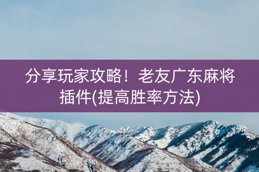 分享玩家攻略！老友广东麻将插件(提高胜率方法)
