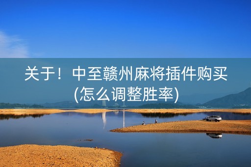关于！中至赣州麻将插件购买(怎么调整胜率)