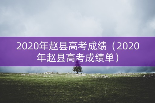 2020年赵县高考成绩（2020年赵县高考成绩单）