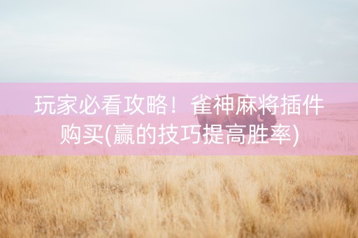 玩家必看攻略！雀神麻将插件购买(赢的技巧提高胜率)