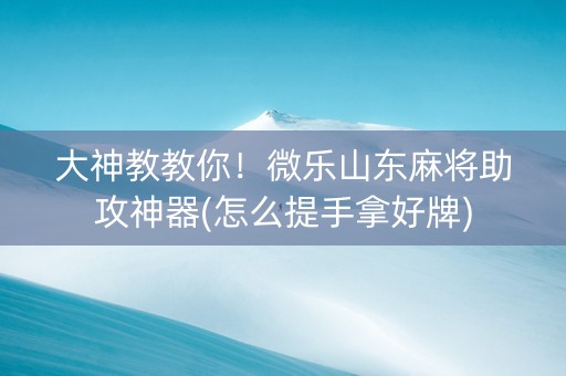 大神教教你！微乐山东麻将助攻神器(怎么提手拿好牌)