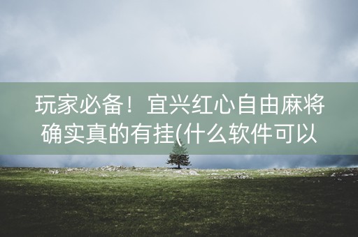 玩家必备！宜兴红心自由麻将确实真的有挂(什么软件可以赢)