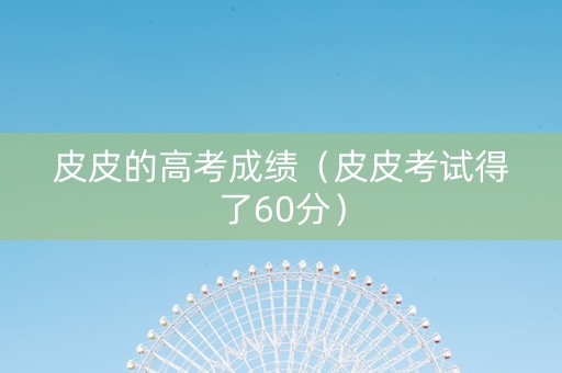 皮皮的高考成绩（皮皮考试得了60分）