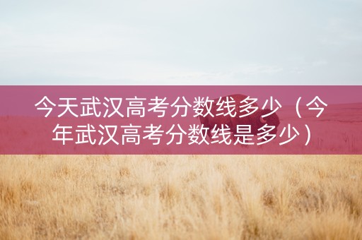 今天武汉高考分数线多少（今年武汉高考分数线是多少）