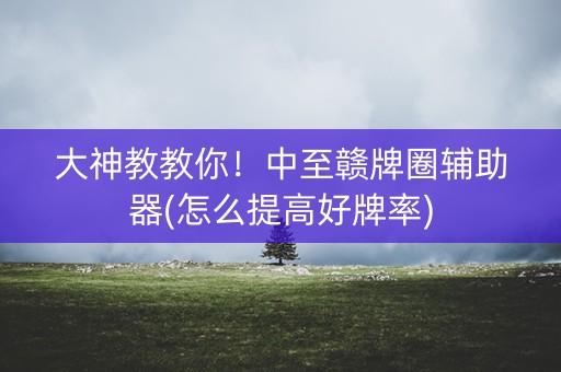 大神教教你！中至赣牌圈辅助器(怎么提高好牌率)