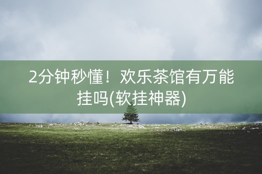 2分钟秒懂！欢乐茶馆有万能挂吗(软挂神器)
