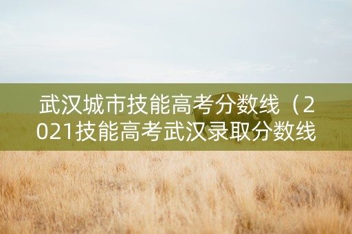 武汉城市技能高考分数线（2021技能高考武汉录取分数线）