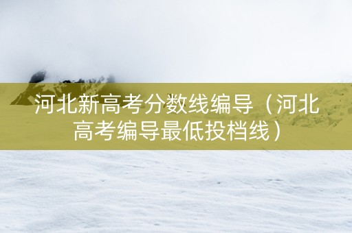河北新高考分数线编导（河北高考编导最低投档线）