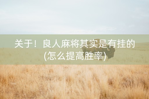 关于！良人麻将其实是有挂的(怎么提高胜率)