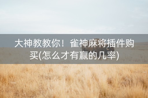 大神教教你！雀神麻将插件购买(怎么才有赢的几率)