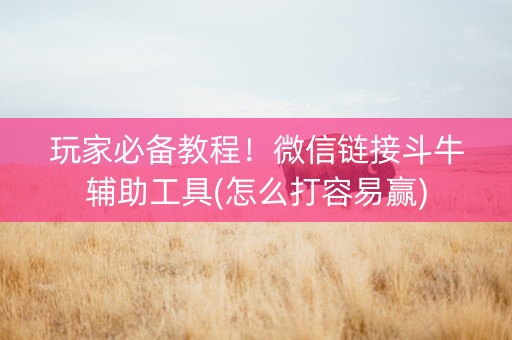 玩家必备教程！微信链接斗牛辅助工具(怎么打容易赢)