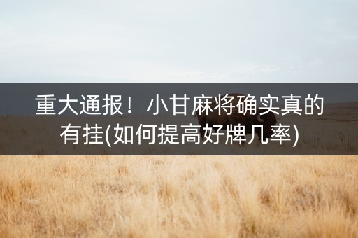 重大通报！小甘麻将确实真的有挂(如何提高好牌几率)