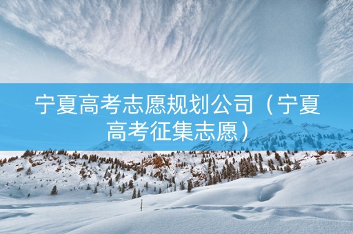 宁夏高考志愿规划公司（宁夏高考征集志愿）