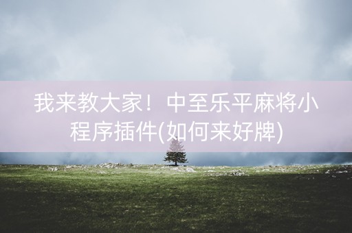 我来教大家！中至乐平麻将小程序插件(如何来好牌)