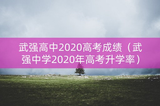 武强高中2020高考成绩（武强中学2020年高考升学率）
