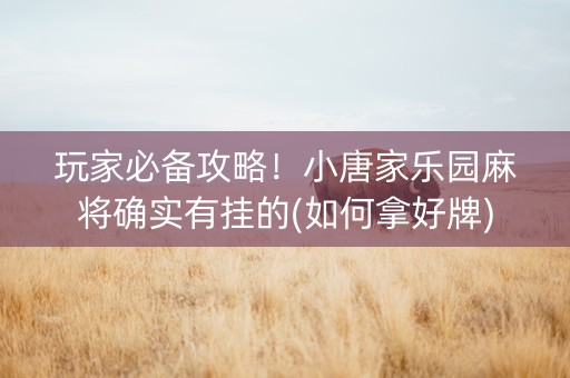 玩家必备攻略！小唐家乐园麻将确实有挂的(如何拿好牌)