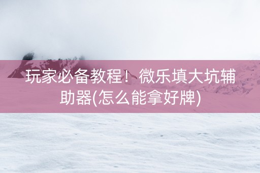 玩家必备教程！微乐填大坑辅助器(怎么能拿好牌)