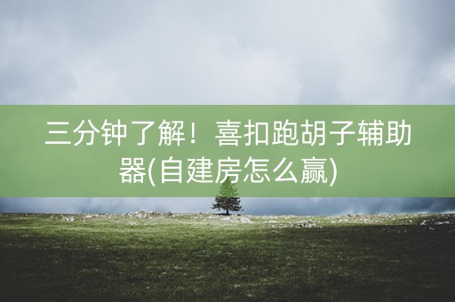 三分钟了解！喜扣跑胡子辅助器(自建房怎么赢)