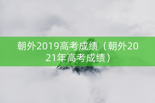 朝外2019高考成绩（朝外2021年高考成绩）