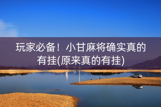 玩家必备！小甘麻将确实真的有挂(原来真的有挂)
