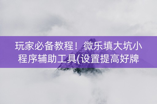 玩家必备教程！微乐填大坑小程序辅助工具(设置提高好牌几率)