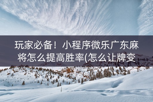 玩家必备！小程序微乐广东麻将怎么提高胜率(怎么让牌变好)