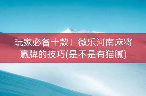 玩家必备十款！微乐河南麻将赢牌的技巧(是不是有猫腻)