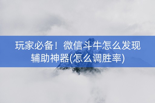 玩家必备！微信斗牛怎么发现辅助神器(怎么调胜率)