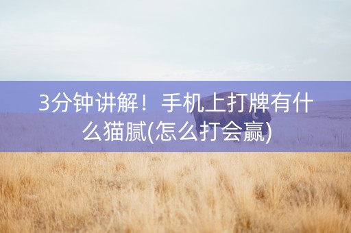 3分钟讲解！手机上打牌有什么猫腻(怎么打会赢)