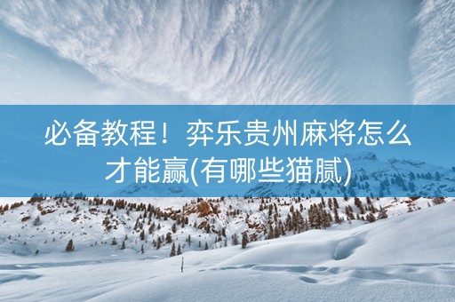 必备教程！弈乐贵州麻将怎么才能赢(有哪些猫腻)