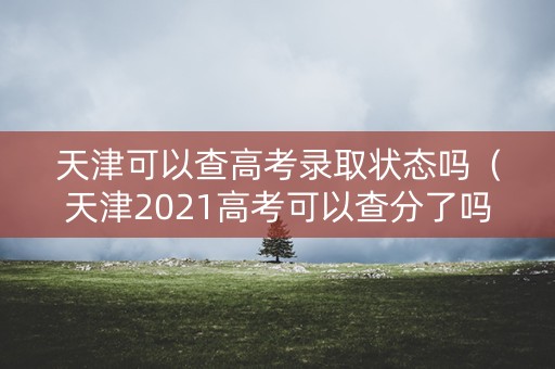 天津可以查高考录取状态吗（天津2021高考可以查分了吗）