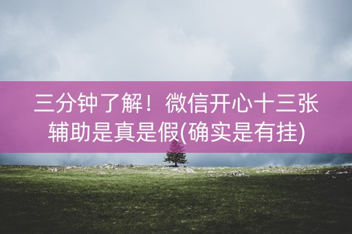三分钟了解！微信开心十三张辅助是真是假(确实是有挂)
