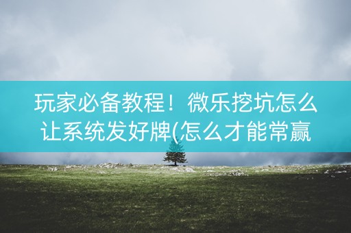 玩家必备教程！微乐挖坑怎么让系统发好牌(怎么才能常赢)